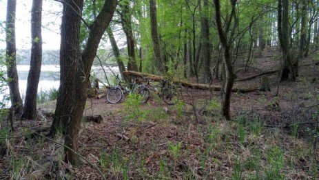 Przewodnik po Płocku, jezioro Gościąż Wyprawa rowerowa nad Gościąż