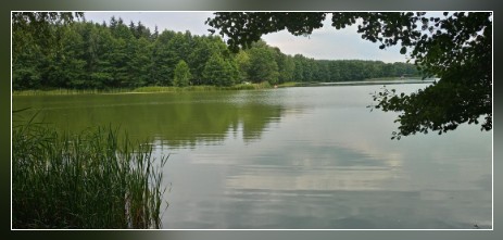 Przewodnik Płock, w drodze do Gostynina Przewodnik po Płocku, na czerwonym szlaku
