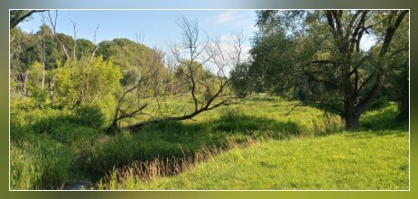 Przewodnik po Płocku, Brzeżnica Jar Brzeżnicy