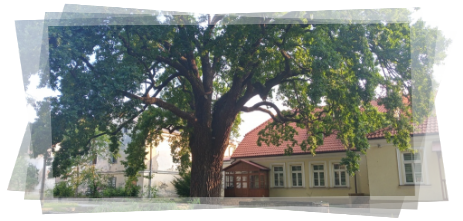 Płock. Dom Władysława Broniewskiego. Przewodnik Płock, dom Broniewskiego