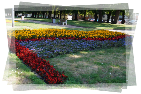 Przewodnik Płock, Plac Obrońców Warszawy