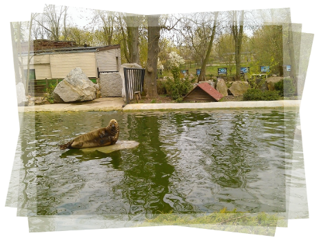 Przewodnik po Płocku, ZOO Przewodnik Płock, ogród zoologiczzny